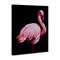 Stupell Industries Elegant & Exotic Flamingo Canvas, design by James Corwin